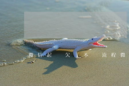 微信起訴欠錢不還流程 微信 起訴