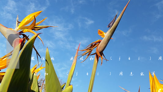 微信起訴流程和費(fèi)用(微信起訴流程和費(fèi)用怎么算)