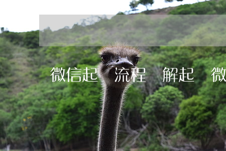 微信起訴流程圖解（起訴微信程序下載安裝）