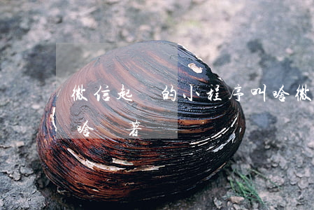 微信起訴的小程序叫啥(微信起訴的小程序叫啥來著)