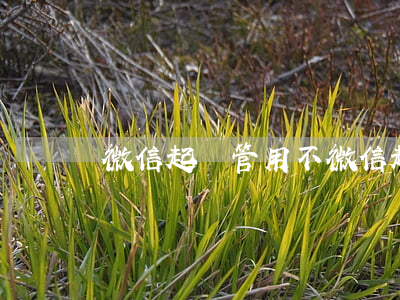 微信起訴管用不(微信起訴管用不)