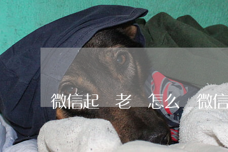 微信起訴老賴怎么辦(微信起訴會怎樣)