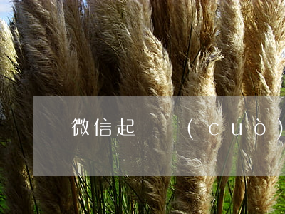 微信起訴錯(cuò)了怎么找(微信號起訴)