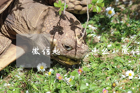 微信起訴錯誤怎么辦(微信號起訴個案)