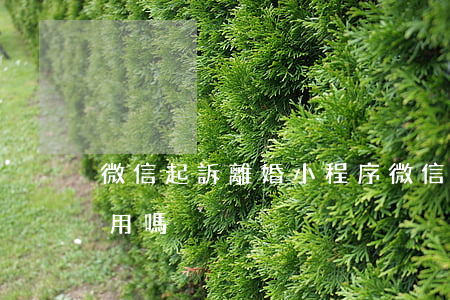 微信起訴離婚小程序(微信起訴離婚小程序有用嗎)