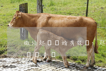微信起訴離婚有效嗎-起訴離婚微信里面的錢會查嗎