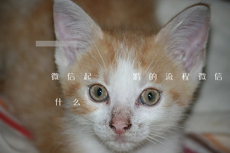 微信起訴離婚的流程(微信起訴離婚的流程是什么)