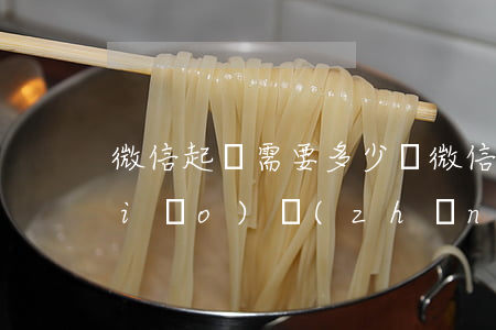 微信起訴需要多少錢(微信起訴多少錢標(biāo)準(zhǔn))