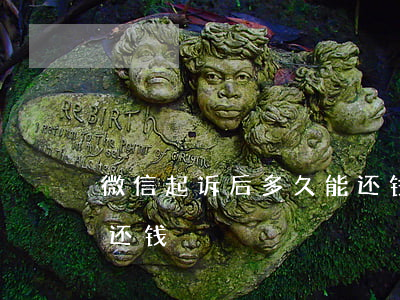 微信起诉后多久能还钱啊（微信起诉后多久能还钱）