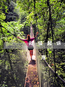 微信起诉怎么起(微信起诉欠钱不还的程序和费用)