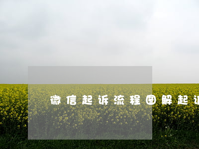 微信起诉流程图解（起诉微信程序下载安装）