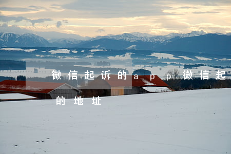 微信起诉的app(微信起诉的送达地址写谁的地址)