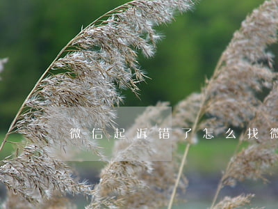 微信起诉错了怎么找(微信号起诉)