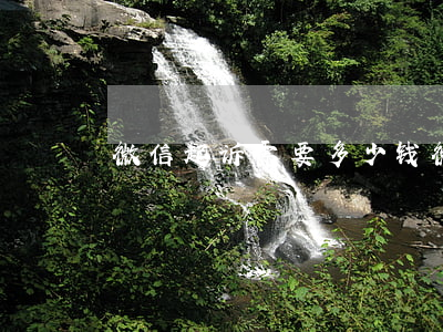 微信起诉需要多少钱(微信起诉多少钱标准)