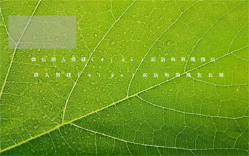 微信跟人借錢(qián)起訴有用嗎(微信跟人借錢(qián)起訴有用嗎怎么辦)
