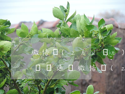 微信轉(zhuǎn)帳借錢能打官司要回來嗎 通過微信轉(zhuǎn)賬借錢不還可以起訴嗎