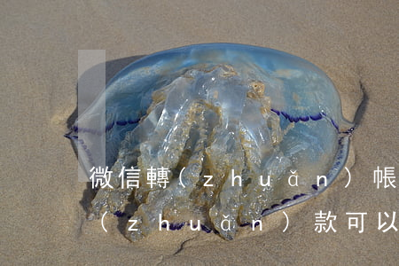 微信轉(zhuǎn)帳可以起訴嗎(微信轉(zhuǎn)款可以起訴嗎)