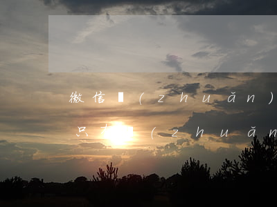 微信轉(zhuǎn)帳記錄能起訴嗎 微信只有轉(zhuǎn)賬記錄能起訴嗎