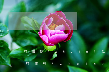 微信轉(zhuǎn)款可以起訴追回嗎(憑微信轉(zhuǎn)賬可以起訴還錢嗎)