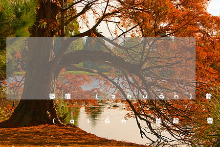 微信轉(zhuǎn)款貨不發(fā)錢(qián)能起訴要回來(lái)么(微信轉(zhuǎn)賬不發(fā)貨錢(qián)還能回來(lái)嗎)