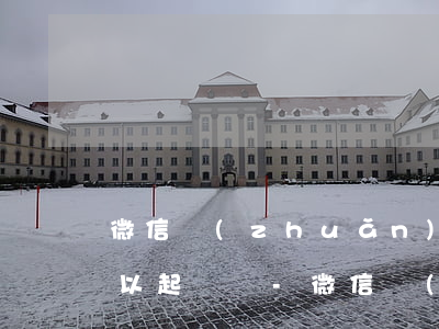 微信轉(zhuǎn)賬1000元不還可以起訴嗎-微信轉(zhuǎn)賬1000元不還可以起訴嗎安全嗎