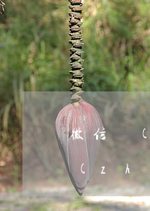 微信轉(zhuǎn)賬一萬能起訴(微信轉(zhuǎn)賬一萬算詐騙嗎)