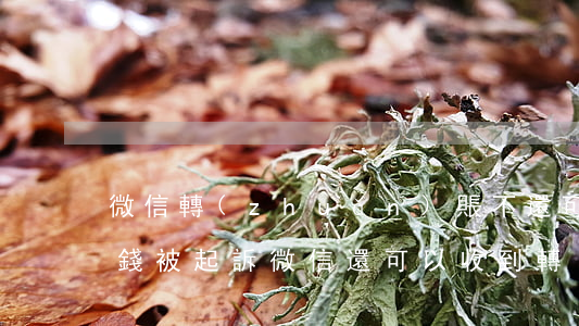 微信轉(zhuǎn)賬不還可以起訴嗎(欠錢被起訴,微信還可以收到轉(zhuǎn)賬嗎)