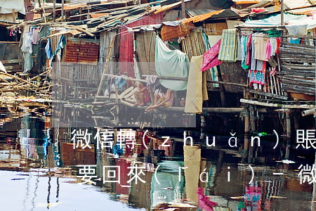 微信轉(zhuǎn)賬不還起訴可不可以要回來(lái)-微信轉(zhuǎn)賬不還起訴可不可以要回來(lái)呢