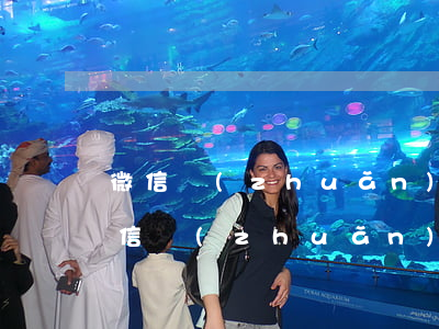 微信轉(zhuǎn)賬不還起訴狀圖(以微信轉(zhuǎn)賬記錄起訴欠賬不還)
