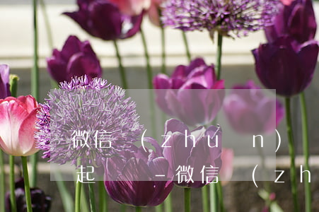 微信轉(zhuǎn)賬借1000沒還能起訴嗎-微信轉(zhuǎn)賬借1000沒還能起訴嗎知乎