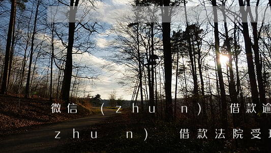 微信轉(zhuǎn)賬借款逾期(微信轉(zhuǎn)賬借款法院受理嗎)