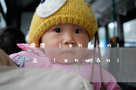 微信轉(zhuǎn)賬借錢不還起訴(微信上轉(zhuǎn)賬借錢不還,報(bào)警有用嗎)