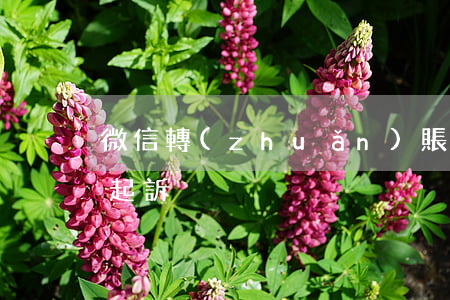 微信轉(zhuǎn)賬兩年內(nèi)起訴