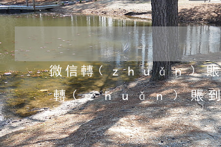 微信轉(zhuǎn)賬到哪里起訴-微信轉(zhuǎn)賬到哪里起訴
