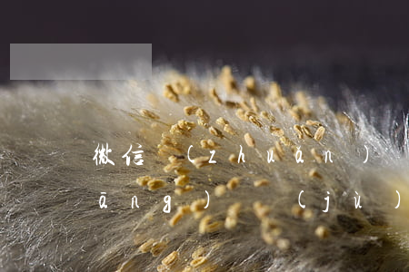 微信轉(zhuǎn)賬到法院可以當(dāng)證據(jù)嗎(微信轉(zhuǎn)賬到法院可以當(dāng)證據(jù)嗎)