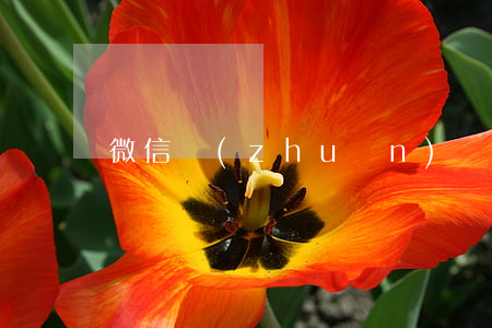 微信轉(zhuǎn)賬多少錢起訴
