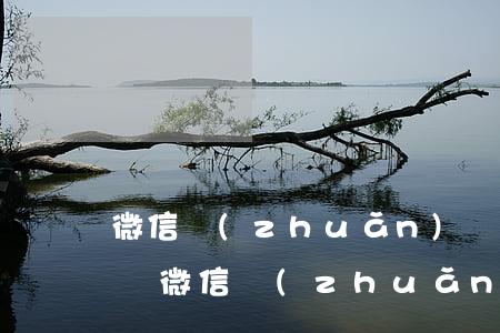 微信轉(zhuǎn)賬如何起訴要(怎么起訴微信轉(zhuǎn)賬欠錢(qián)不還)