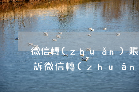 微信轉(zhuǎn)賬如何起訴要(怎么起訴微信轉(zhuǎn)賬欠錢不還)