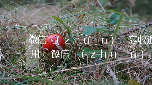 微信轉(zhuǎn)賬忘收退回了起訴有用嗎(微信轉(zhuǎn)賬忘收退回了起訴有用嗎)