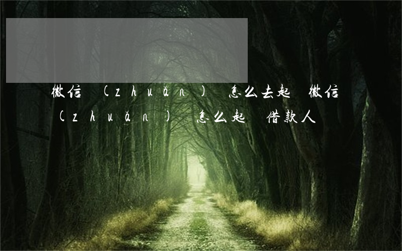 微信轉(zhuǎn)賬怎么去起訴(微信轉(zhuǎn)賬怎么起訴借款人)