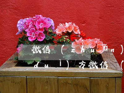 微信轉(zhuǎn)賬憑證怎么起訴對(duì)方（微信轉(zhuǎn)賬憑證怎么起訴）