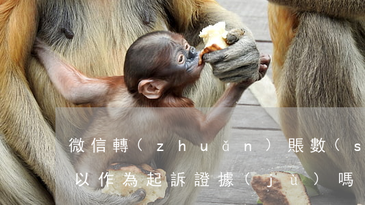 微信轉(zhuǎn)賬數(shù)字可以作為起訴證據(jù)嗎