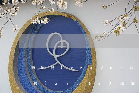 微信轉(zhuǎn)賬會被起訴嘛-微信轉(zhuǎn)賬能成為起訴的證據(jù)嗎