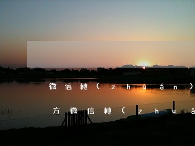 微信轉(zhuǎn)賬給他人怎么起訴對方(微信轉(zhuǎn)賬給他人怎么起訴對方)