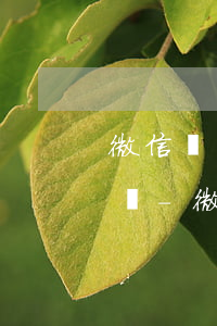 微信轉(zhuǎn)賬給朋友不還能起訴嗎-微信轉(zhuǎn)賬不還可以告詐騙嗎