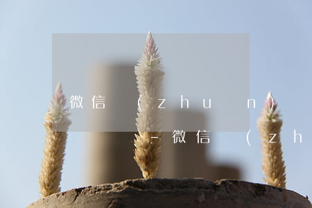 微信轉(zhuǎn)賬聊天記錄可以提起訴訟嗎-微信轉(zhuǎn)賬聊天記錄可以提起訴訟嗎安全嗎