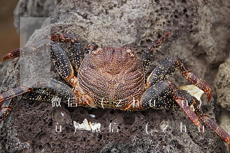 微信轉(zhuǎn)賬能做起訴依據(jù)(微信轉(zhuǎn)賬可以起訴證據(jù)嗎)