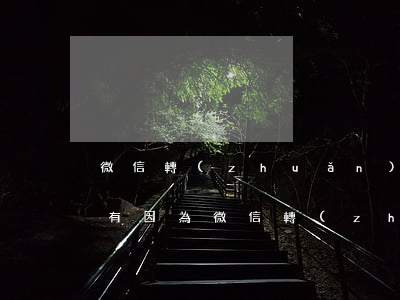 微信轉(zhuǎn)賬被起訴怎么辦(有沒有因為微信轉(zhuǎn)賬起訴成功的案例)