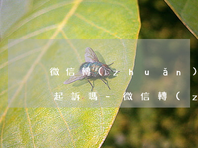 微信轉(zhuǎn)賬記錄找不到了可以起訴嗎-微信轉(zhuǎn)賬記錄找不到了可以起訴嗎安全嗎