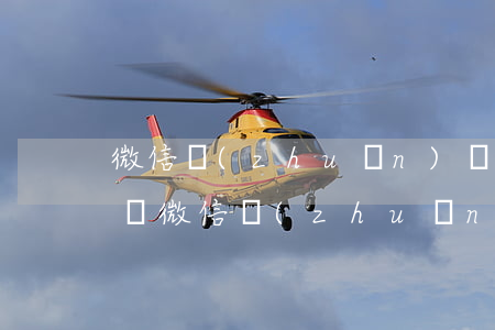微信轉(zhuǎn)賬記錄法院可以立案嗎(微信轉(zhuǎn)賬記錄可以作為起訴的依據(jù)嗎)